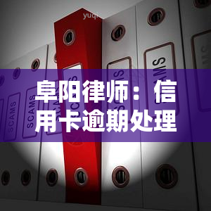 阜阳律师：信用卡逾期处理方法全攻略