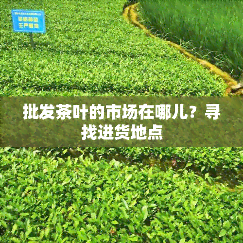 批发茶叶的市场在哪儿？寻找进货地点