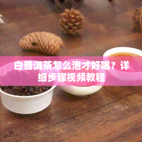 白普洱茶怎么泡才好喝？详细步骤视频教程