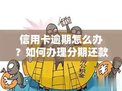 信用卡逾期怎么办？如何办理分期还款及避免上？