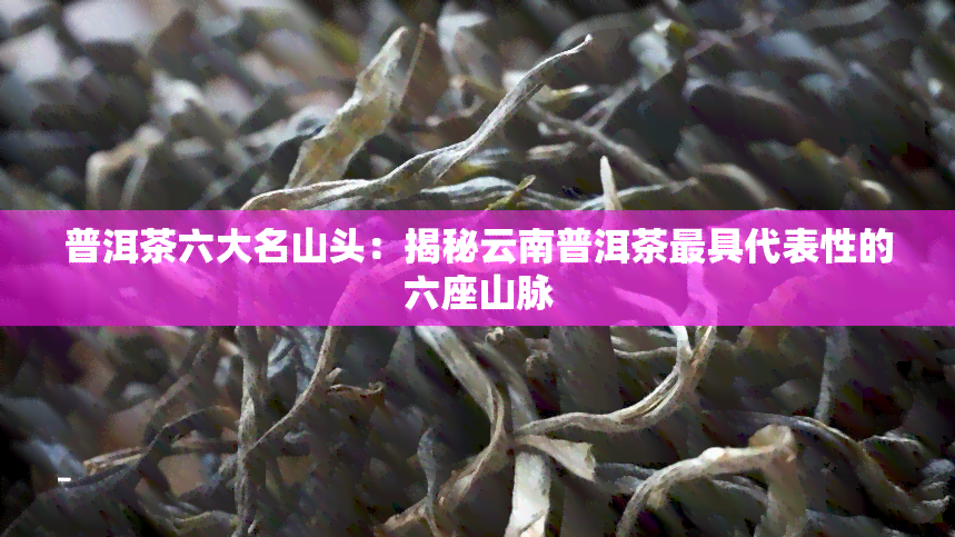 普洱茶六大名山头：揭秘云南普洱茶更具代表性的六座山脉