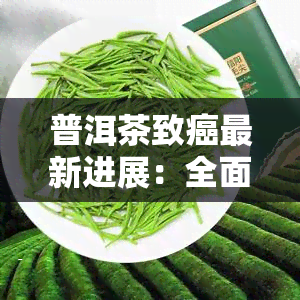 普洱茶致癌最新进展：全面解析相关研究与视频信息