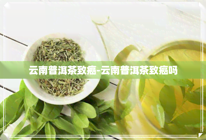 云南普洱茶致癌-云南普洱茶致癌吗