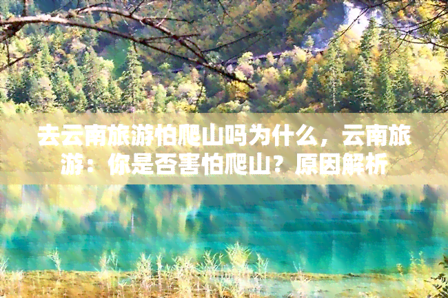 去云南旅游怕爬山吗为什么，云南旅游：你是否害怕爬山？原因解析