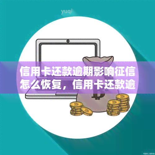 信用卡还款逾期影响怎么恢复，信用卡还款逾期导致受损，如何恢复正常？