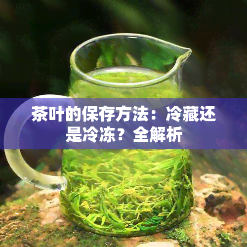 茶叶的保存方法：冷藏还是冷冻？全解析