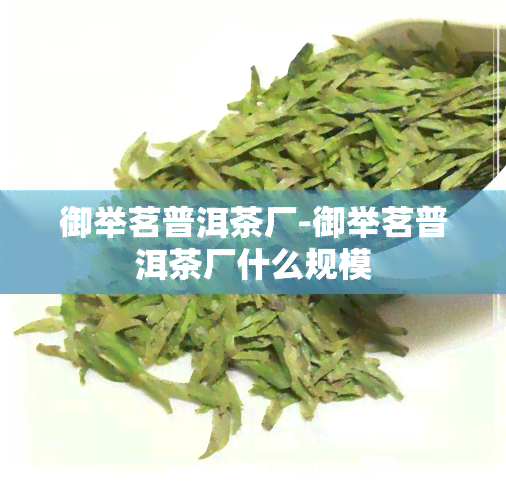 御举茗普洱茶厂-御举茗普洱茶厂什么规模