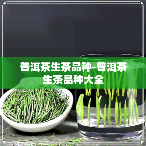 普洱茶生茶品种-普洱茶生茶品种大全