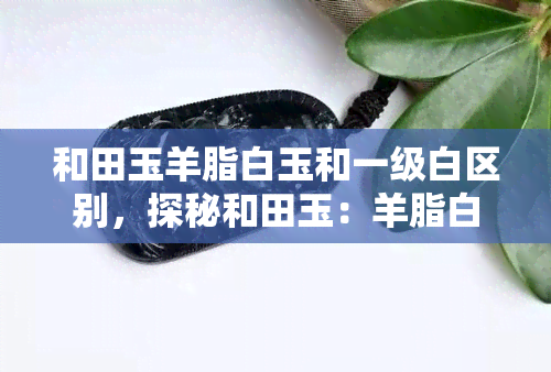 和田玉羊脂白玉和一级白区别，探秘和田玉：羊脂白玉与一级白的差异