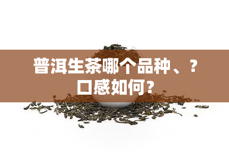 普洱生茶哪个品种、？口感如何？