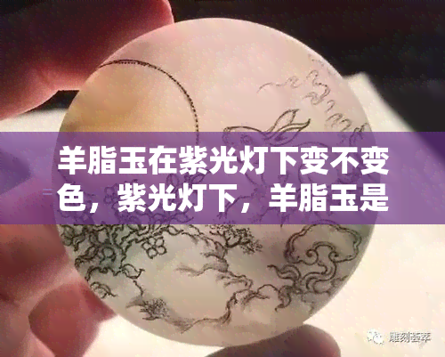 羊脂玉在紫光灯下变不变色，紫光灯下，羊脂玉是否会变色？