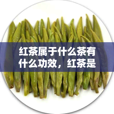 红茶属于什么茶有什么功效，红茶是什么茶？探究其独特功效与作用