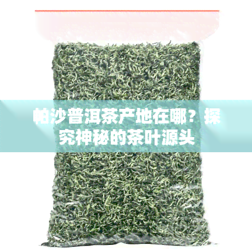 帕沙普洱茶产地在哪？探究神秘的茶叶源头