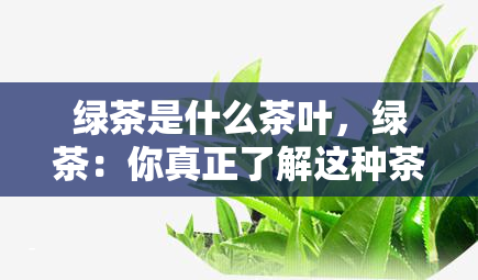 绿茶是什么茶叶，绿茶：你真正了解这种茶叶吗？