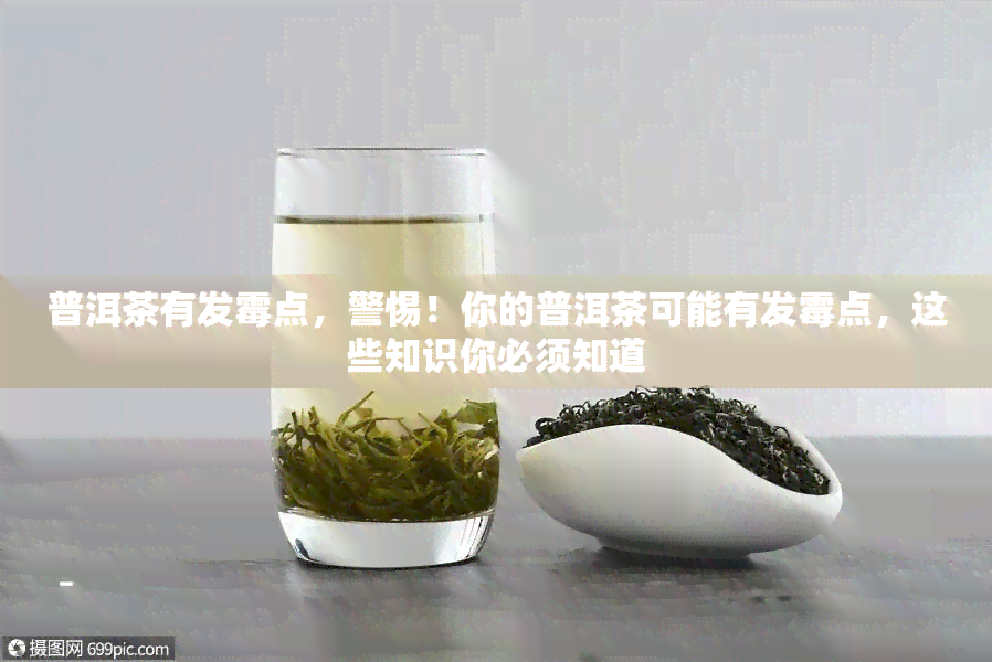 普洱茶有发霉点，警惕！你的普洱茶可能有发霉点，这些知识你必须知道