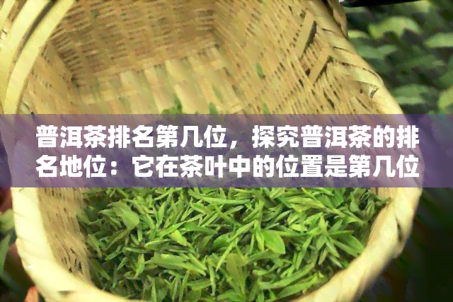 普洱茶排名第几位，探究普洱茶的排名地位：它在茶叶中的位置是第几位？