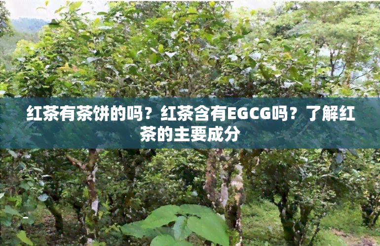 红茶有茶饼的吗？红茶含有EGCG吗？了解红茶的主要成分