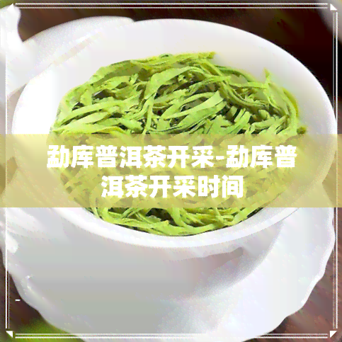 勐库普洱茶开采-勐库普洱茶开采时间