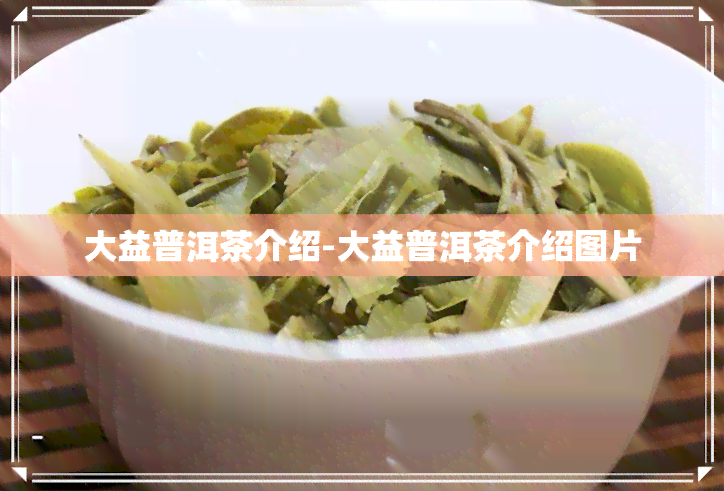 大益普洱茶介绍-大益普洱茶介绍图片