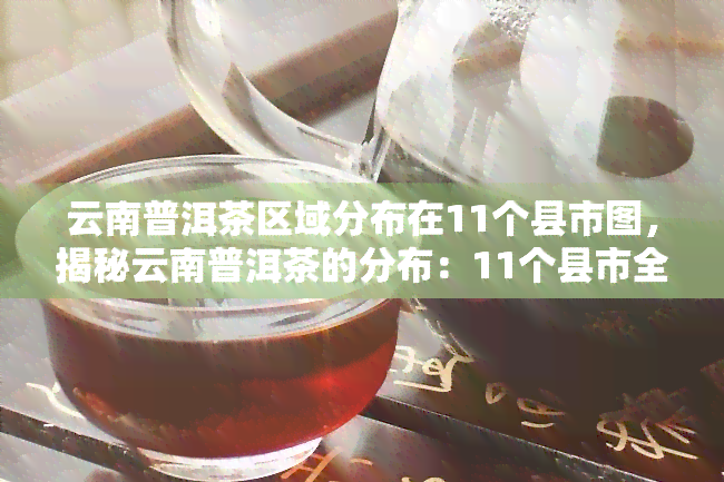 云南普洱茶区域分布在11个县市图，揭秘云南普洱茶的分布：11个县市全解析！