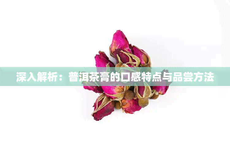 深入解析：普洱茶膏的口感特点与品尝方法