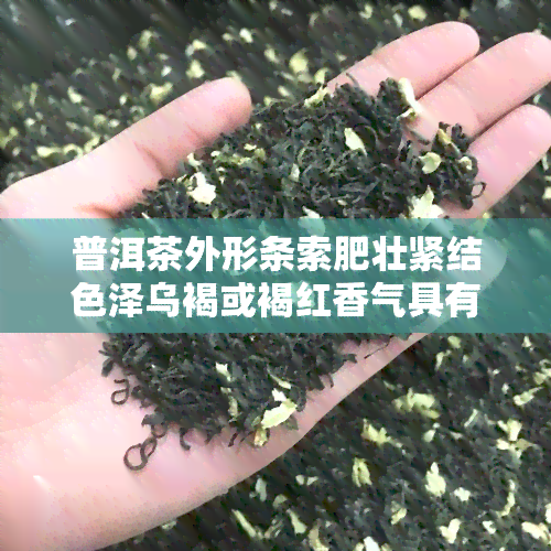 普洱茶外形条索肥壮紧结色泽乌褐或褐红香气具有，普洱茶：外形肥壮、色泽乌褐，香气独特