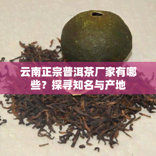 云南正宗普洱茶厂家有哪些？探寻知名与产地