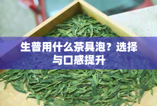 生普用什么茶具泡？选择与口感提升