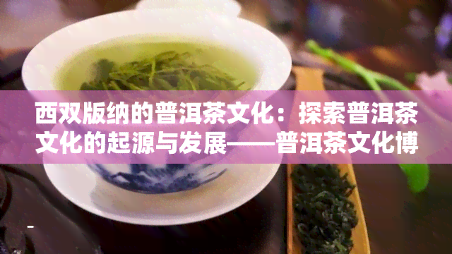 西双版纳的普洱茶文化：探索普洱茶文化的起源与发展——普洱茶文化博览园C区