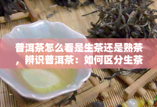 普洱茶怎么看是生茶还是熟茶，辨识普洱茶：如何区分生茶与熟茶？