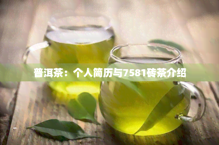 普洱茶：个人简历与7581砖茶介绍