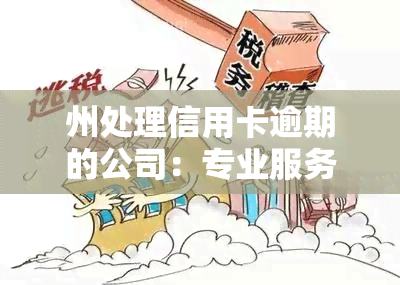 州处理信用卡逾期的公司：专业服务一览