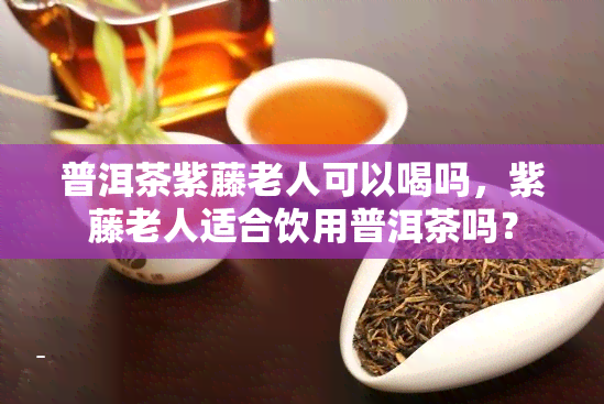 普洱茶紫藤老人可以喝吗，紫藤老人适合饮用普洱茶吗？