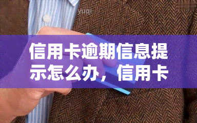 信用卡逾期信息提示怎么办，信用卡逾期信息提示：如何处理？