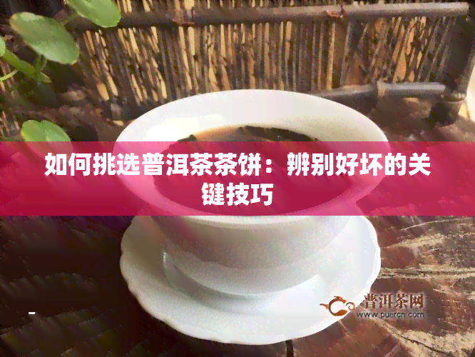 如何挑选普洱茶茶饼：辨别好坏的关键技巧