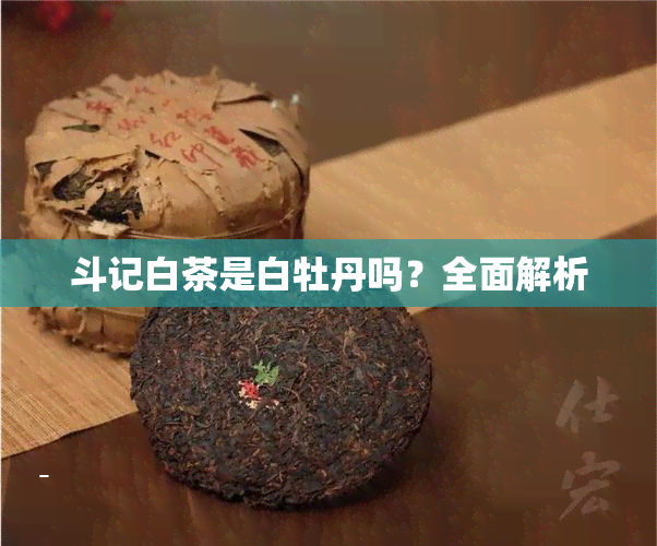 斗记白茶是白牡丹吗？全面解析