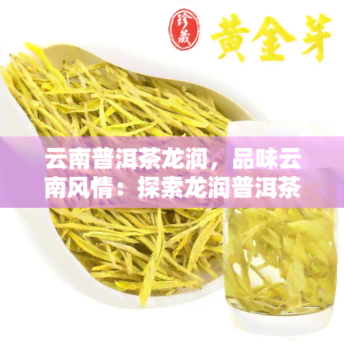 云南普洱茶龙润，品味云南风情：探索龙润普洱茶的世界