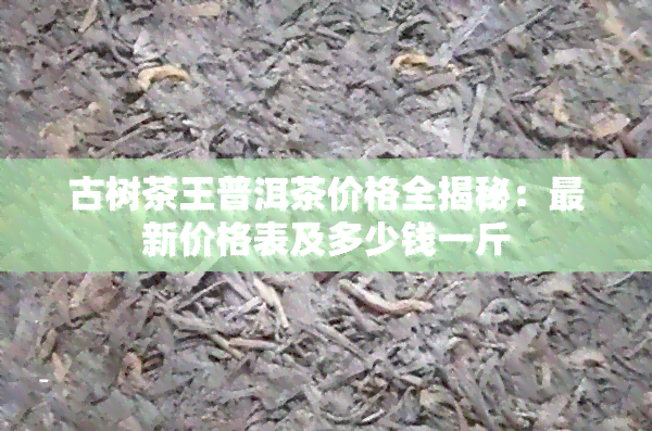 古树茶王普洱茶价格全揭秘：最新价格表及多少钱一斤