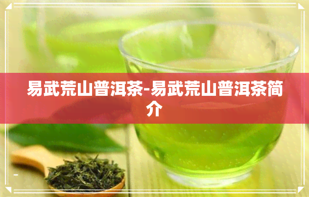 易武荒山普洱茶-易武荒山普洱茶简介