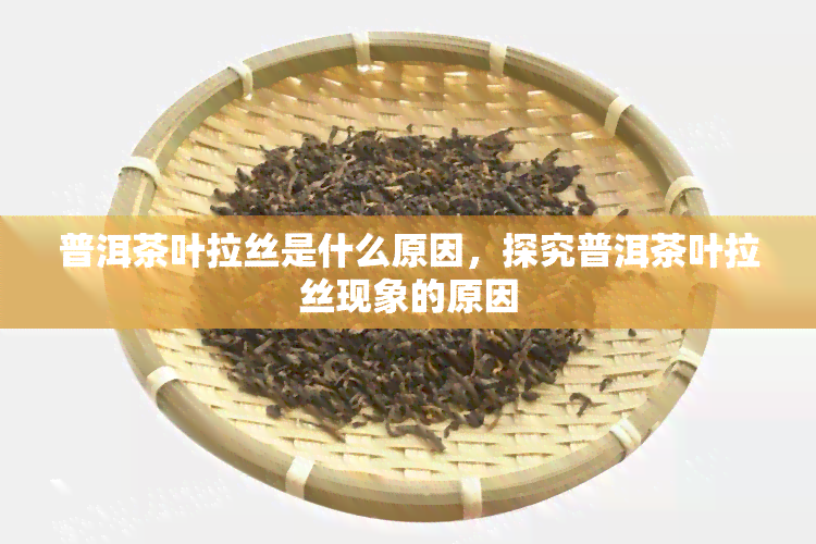 普洱茶叶拉丝是什么原因，探究普洱茶叶拉丝现象的原因