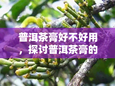 普洱茶膏好不好用，探讨普洱茶膏的实用效果：究竟好用吗？