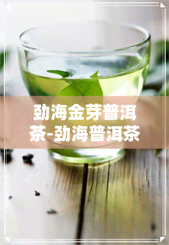 劲海金芽普洱茶-劲海普洱茶价格表