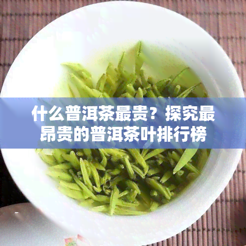 什么普洱茶最贵？探究最昂贵的普洱茶叶排行榜