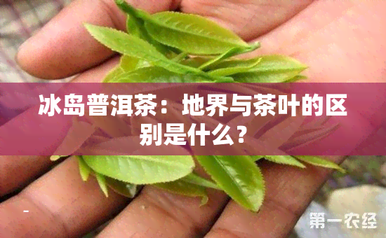 冰岛普洱茶：地界与茶叶的区别是什么？