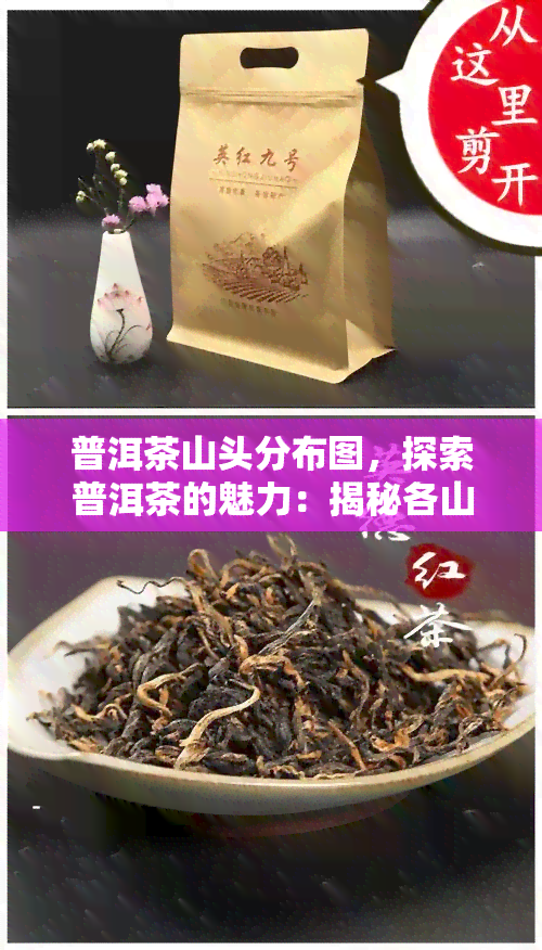 普洱茶山头分布图，探索普洱茶的魅力：揭秘各山头的独特风味与分布图