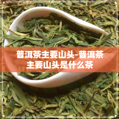 普洱茶主要山头-普洱茶主要山头是什么茶