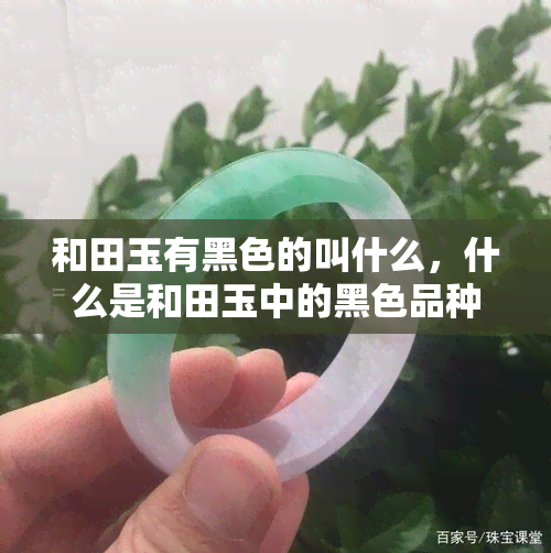 和田玉有黑色的叫什么，什么是和田玉中的黑色品种？