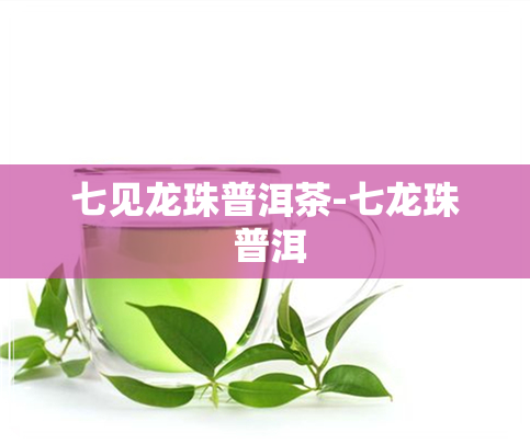 七见龙珠普洱茶-七龙珠 普洱