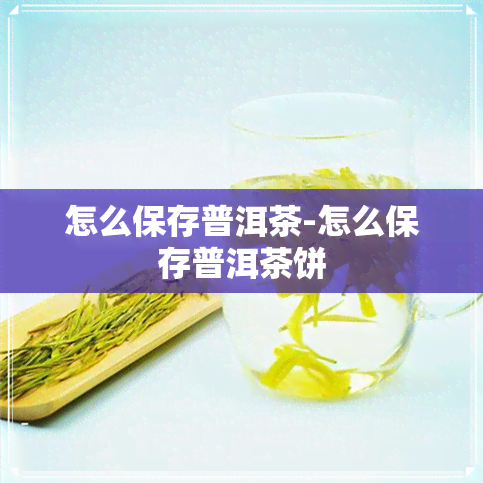 怎么保存普洱茶-怎么保存普洱茶饼