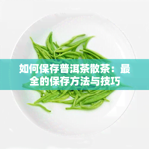 如何保存普洱茶散茶：最全的保存方法与技巧